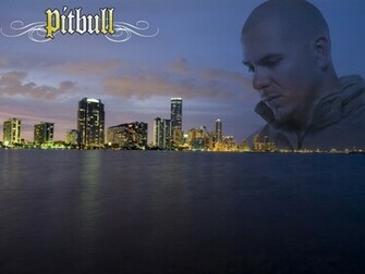 Pitbull Rapper Wallpaper