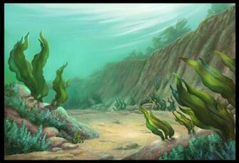 Animation Background David Rabbitte