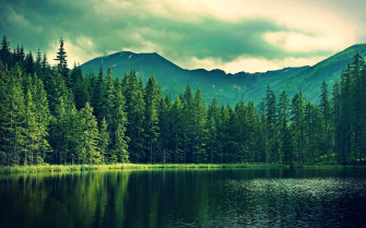 Outdoor 119arfo9rikosnsz Wallpaper