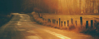 Green And Brown Wallpaper