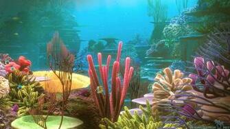 Coral Reef Background