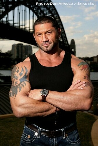Wwe Champion Dave Batista Wife