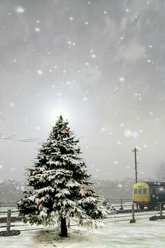 Winter Tree iPhone Wallpaper iPhones Ipod Touch Background