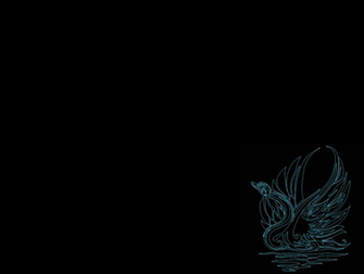 Black Swan Wallpaper