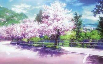 Cherry Blossom Path Desktop Laptop Wallaper Listed In Anime Category