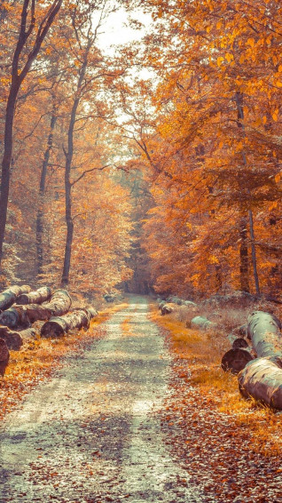 HD October Wallpaper