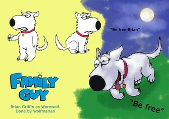 Brian Griffin Wallpaper Weddingdressin