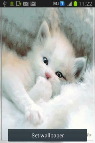 Talking Tom Cat Live Wallpaper For Android Appszoom