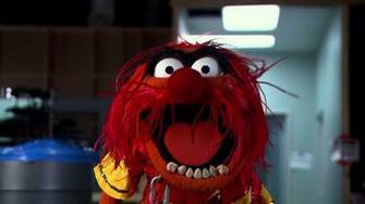Muppets Animal Muppet Band