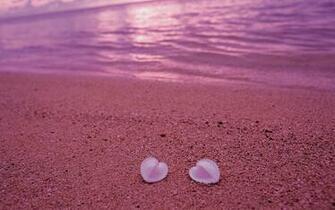 Pink Beach Wallpaper HD