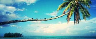 Moorea Beach Lodge