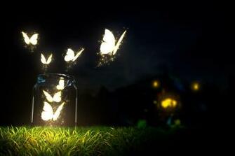 Glowing Butterfly Wallpaper HD Desktop And Mobile Background