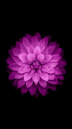 All New Ios And iPhone Wallpaper Iclarified