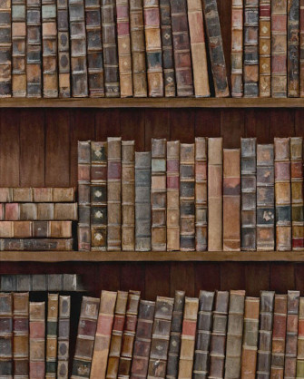 Bookshelf Wallpaper