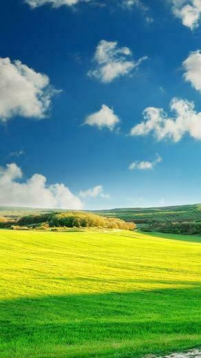 Wonderful Nature iPhone 5s Wallpaper