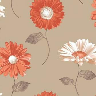 Daisy Wallpaper Champagne And Orange This Contemporary