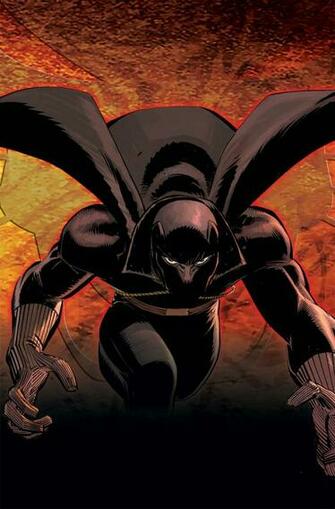 Black Panther Finally Lands On Dvd Was It Worth The Wait