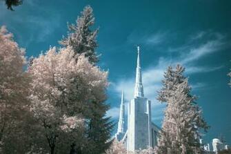The Church Of Jesus Christ Latter Day Saints