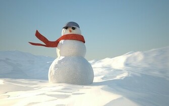 Real Snowman Wallpaper 233k Jpg Sn