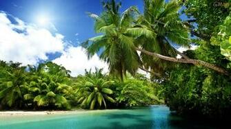 Tropical Papel De Parede Wallpaper Paisagem
