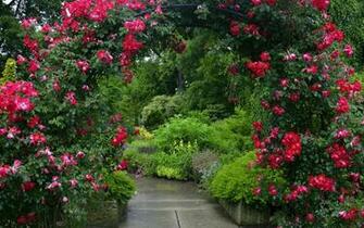 Garden Computer Wallpaper Desktop Background Id