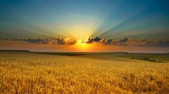 Awesome Nature Background Pictures Wallpaper