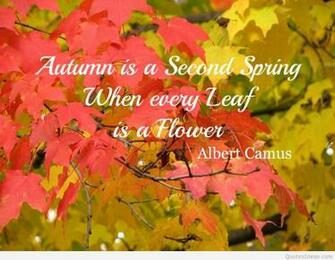 First Day Of Spring Quotes Wallpaper And Flowers Photos