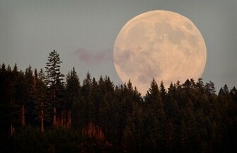 Robin Loznak Photography Llc Super Harvest Moon