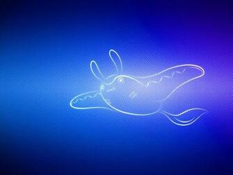 Wallpaper Swim Pokemon Mantine Standard HD