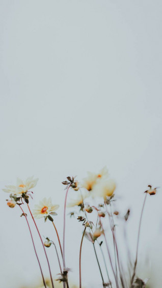 Take A Chill Pill With Mindful iPhone Wallpaper Preppy