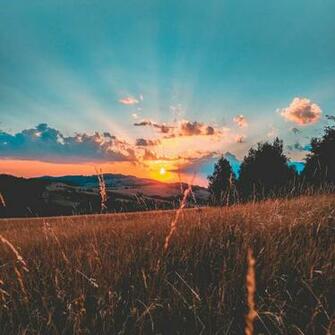 Wallpaper Field Sunset Grass Sky Clouds