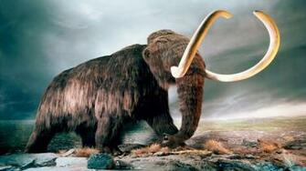 Mammut World Of Animals From The Past HD Wallpaper Wallpaper13