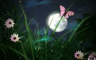 The Quiet Night Wallpaper HD Flowers