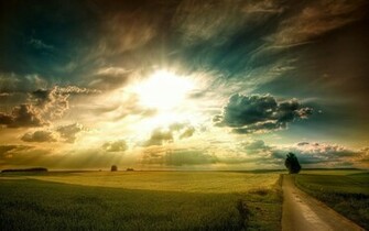 High Definition Nature Wallpaper