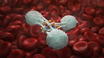 Best Immune System Wallpaper