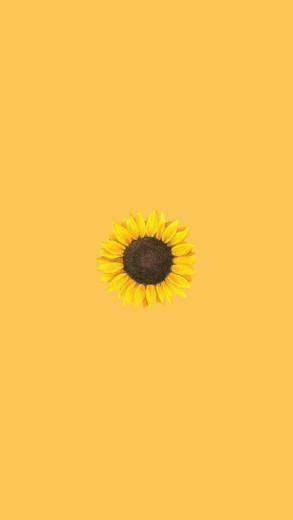 Aesthetic Aestheticwallpaper iPhonewallpaper iPhone
