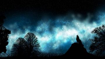 Triple Monitor Multi Screen Multiple Loup Wolf Stars