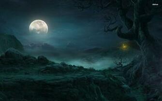 Forest At Night With Full Moon