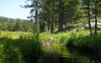 Wallpaper Screen Stories Image Fly Fishing