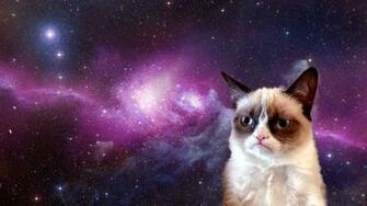 Cat In Space Wallpaper High Quality And