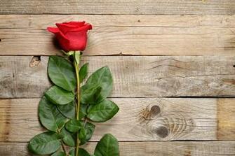 The Bachelor Release Date Keep Track Of Premiere