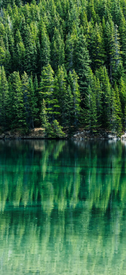iPhone X Malibu Background Nature Reflection Wallpaper