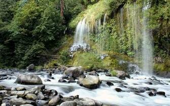 Forest Waterfalls Wallpaper High Quality