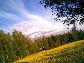 Wallpaper Background Nature Scene HD For