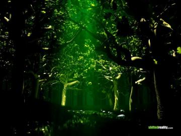 Dsh Perfumes On Le Jade By Forest Wallpaper