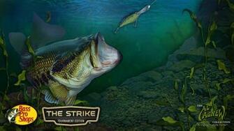 Bass Pro Wallpaper