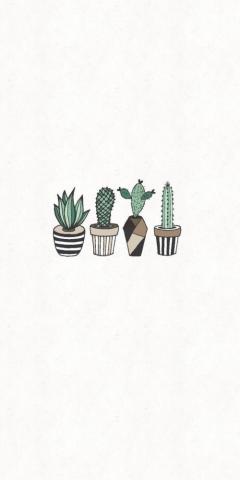 Walpapers Minimalist Wallpaper Cactus Drawing iPhone
