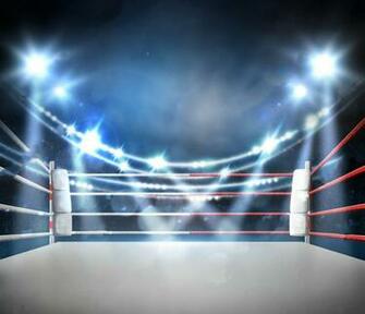 Boxing Ring With Illumination Backdrops Vinyl Cloth High Quality
