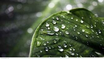 High Definition Full Quality HD Wallpaper Enjoy