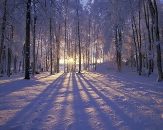 Beautiful Nature Winter Wallpaper HD In